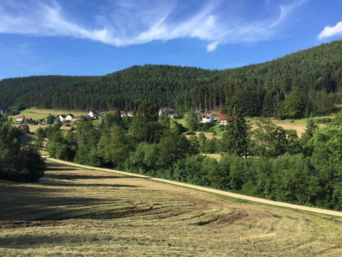 Ferienwohnung Herbert Best Baiersbronn Kültér fotó
