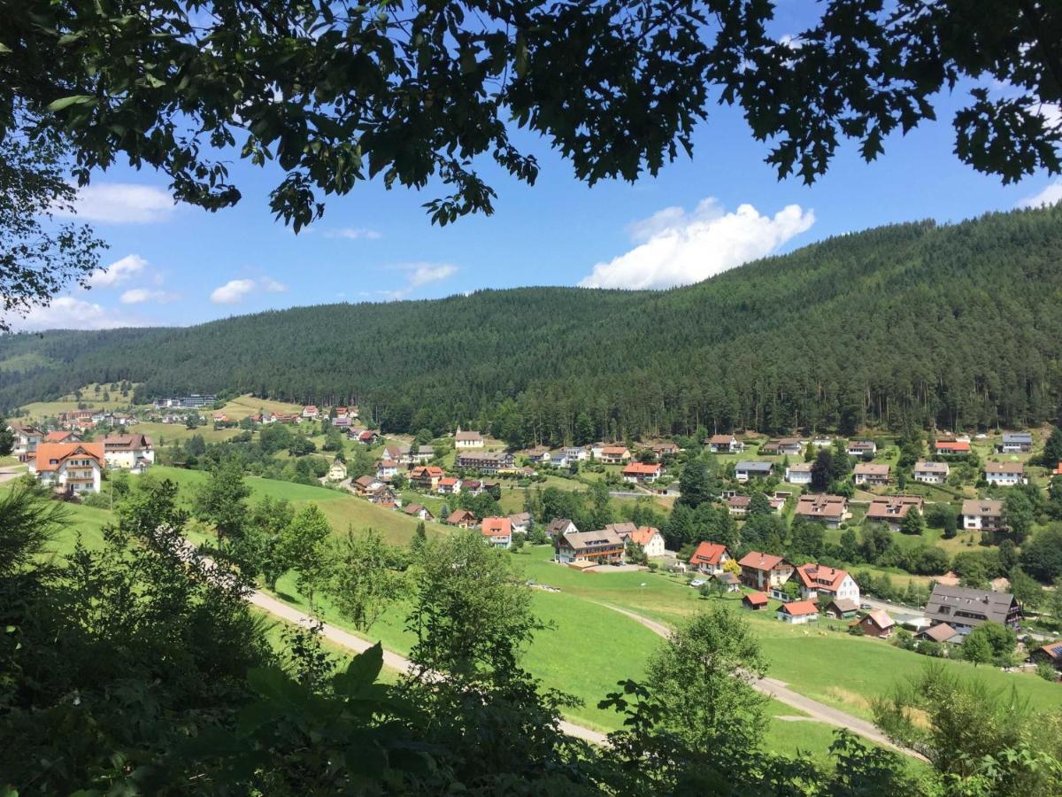 Ferienwohnung Herbert Best Baiersbronn Kültér fotó